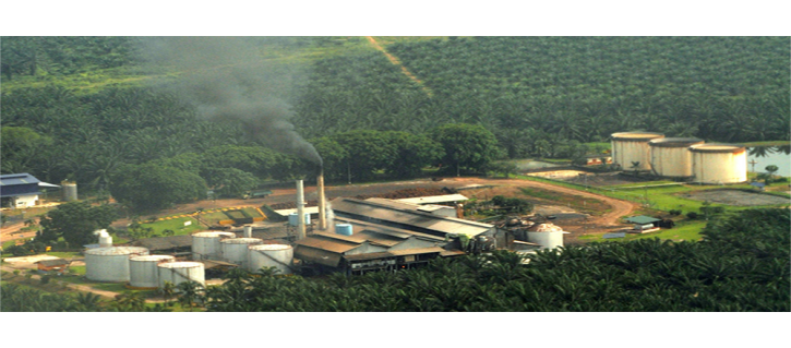 2Palm Oil Industry